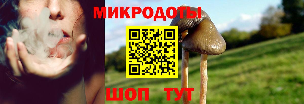 Псилоцибиновые грибы мицелий  Вход с VPN  где найти   Горно-Алтайск 